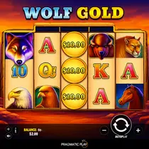 Replatz - Wolf Gold Slot Game